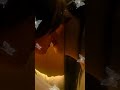 Cute Couple Cartoon Status Kiss Status Video Shorts