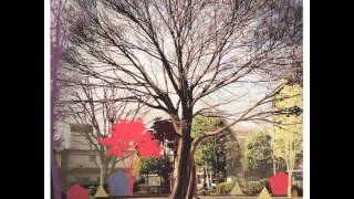 I Am Robot And Proud - Mono The Planet