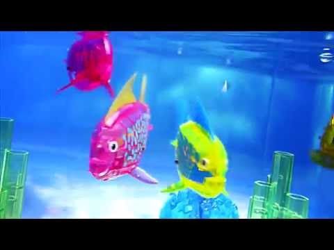 HEXBUG AquaBot 2.0 The Harbour Commercial