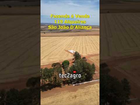 🌱 119 ALQUEIRES SÃO JOÃO D'ALIANÇA - FAZENDA À VENDA EM GOIÁS [🌱DUPLA APTIDÃO] #fazenda #tec2agro