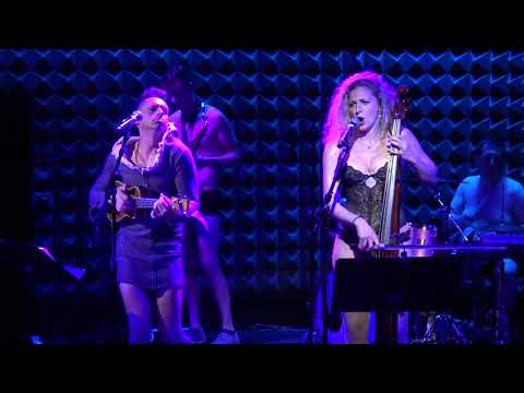 The Skivvies - A Shark Is Born