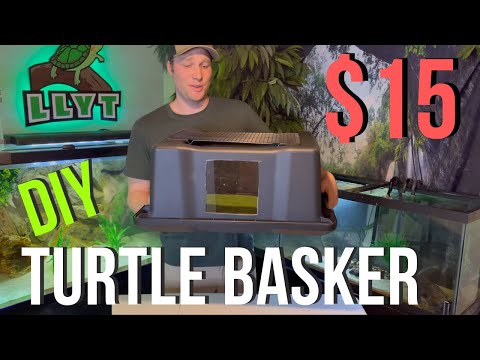 CHEAP - EASY - DIY Above Tank Basking Platform - ONLY $15 - Turtle Tank Upgrade