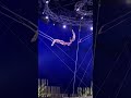 Traditional circus trapeze artists are putting on an impressive performance!