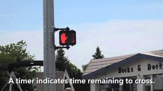 How the HAWK Beacon on the Clinton River Trail Works