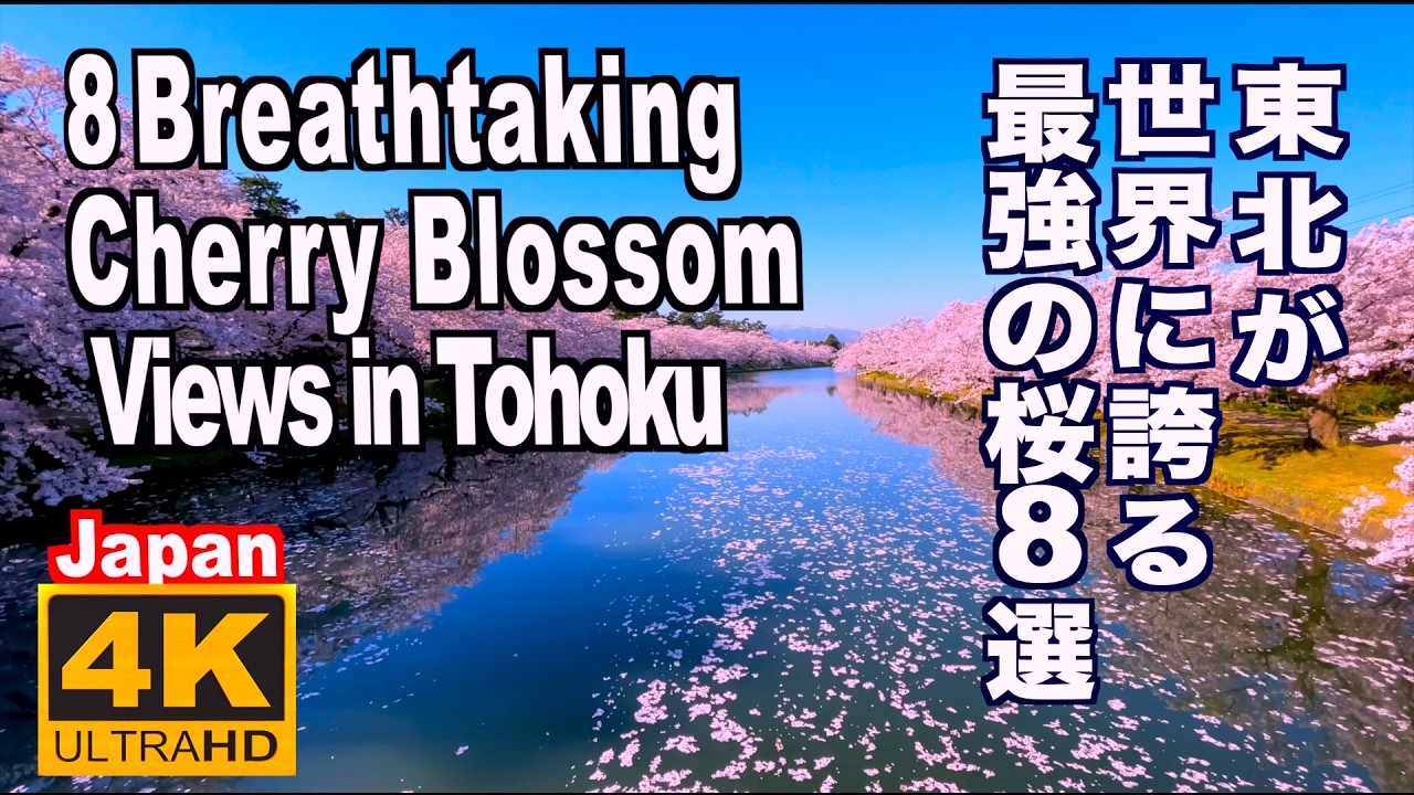 東北が世界に誇る「最強の桜の名所８選」 弘前公園、角館、北上展勝地、白石川堤、芦野公園、鶴ヶ城、霞城公園、花見山公園 花見 東北の春 東北観光 桜絶景 満開 花筏