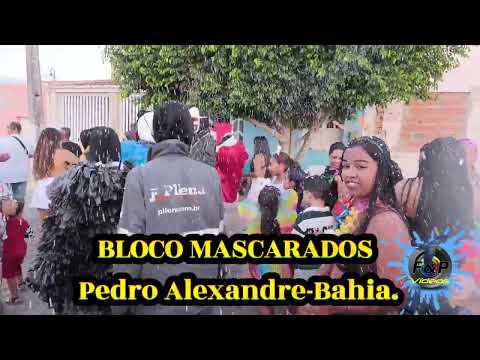 Orquestra de Frevo Gallo Folia e Bloco Mascarados da Cidade de Pedro Alexandre-Ba.