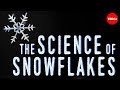 The science of snowflakes - Maruša Bradač