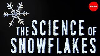 The science of snowflakes – Maruša Bradač