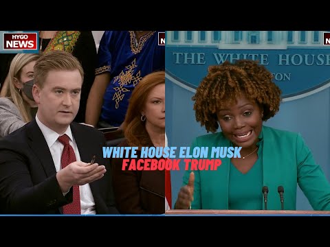 White House not nicest to Elon Musk, Hunter Biden topic? Facebook reinstating Trump