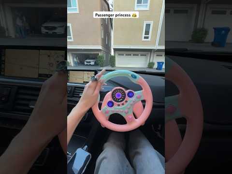 Passenger princess 👸 @elsarca #danilisboom