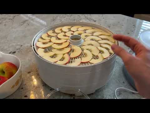 Nesco American Harvest FD 61 Snackmaster Encore Dehydrator and Jerky Maker by Nesco Review