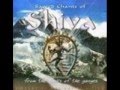Craig Pruess & Sri Sri Ravi Shankar - Shiva Manas ...