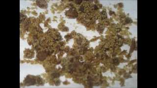 preview picture of video 'Making FULL MELT HASHISH for Medical Marijuana Center Physician Preferred Products Northglenn, CO.'