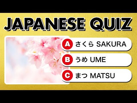 50 Essential Japanese Words & Phrases Quiz for Beginners (Hiragana, Romaji, Kanji)