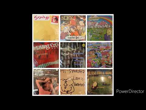 PUNK ROCK SKATE PUNK MIXTURE Vinyl BEST DJ MIX NOFX LIVING END GREEN DAY OFFSPRING RANCID ハイスタ