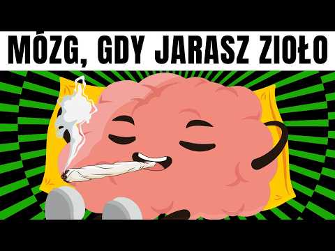 Co się dzieje z Mózgiem i Ciałem po Marihuanie?