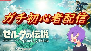 ゼルダシリーズ未経験者によるティアキン 2日目【生配信】