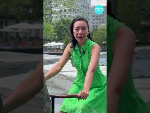 Animal sculptures take over Washington, D.C. to spread awareness about global conservation