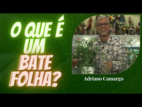 What is a leaf beat? - Adriano Camargo [Herbal Rituals]