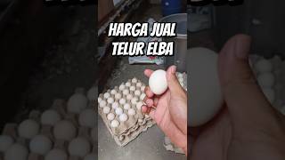 Download lagu Harga Telur Ayam Elba Fertil dan Konsumsi #shorts mp3 Download lagu Harga Telur Ayam Elba Fertil dan Konsumsi #shorts mp3