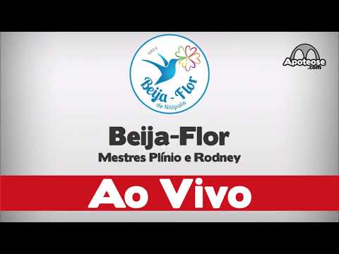 Beija-Flor 2019 - Áudio do desfile oficial - Apoteose ao vivo - #Aud19