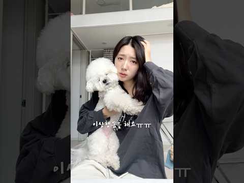 하콩이가 이상행동을 합니다…ㅠㅠ