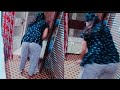 House Cleaning Vlog Dailyvlog Housecleaning Pinkyvlogs
