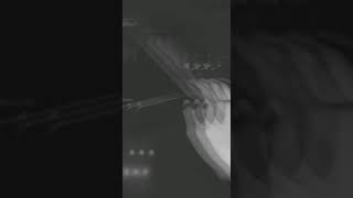 Download lagu Story wa ganja terbaru mp3 Download lagu Story wa ganja terbaru mp3