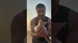 Video thumbnail image