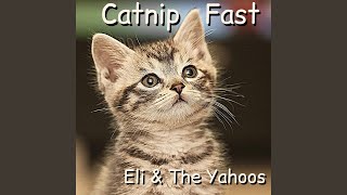 Catnip Fast (הערוץ של אלי והיאהוז) - התמונה מוצגת ישירות מתוך אתר האינטרנט יוטיוב. זכויות היוצרים בתמונה שייכות ליוצרה. קישור קרדיט למקור התוכן נמצא בתוך דף הסרטון