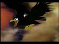 The Secret Of NIMH Trailer