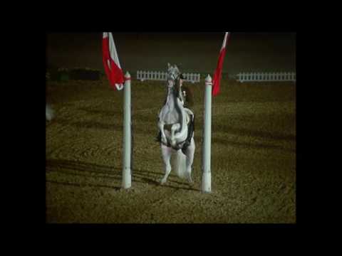 400 Jahre Spanische Reitschule Wien 1972 - Gala Schönbrunn (2/2)