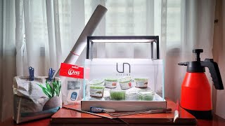 🚨🚨 MS Aquascaping is LIVE!! 🚨🚨