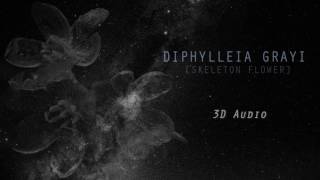 Jonghyun - Diphylleia grayi (Skeleton Flower) 3D Audio | Ambient Rain