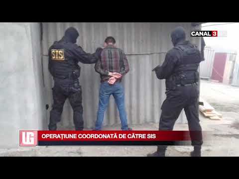 Unitatea de gardă - 1 noiembrie 2019