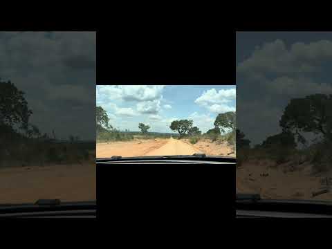 Viagem ao coração do Cerrado: de Mambaí à roça da minha mãe 🌿🚜 