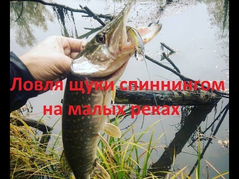 Рыбалка в красноярске весной на щуку Рыбалка в красноярске весной на щуку