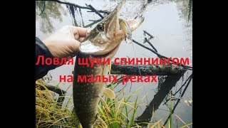 Ловля щуки на реках в октябре