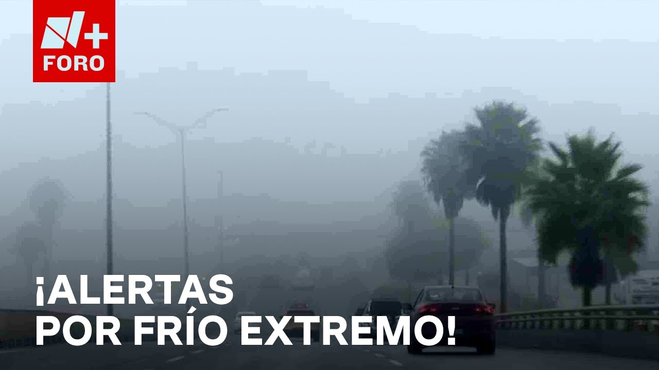 Activan alertas tras temperaturas congelantes en Coahuila, Veracruz y Chihuahua - Sábados de N+ FORO