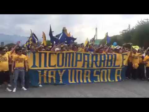 "La hinchada de los Tigres rumbo al BBVA" Barra: Libres y Lokos • Club: Tigres • País: México