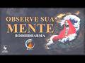 Observe Sua Mente Bodhidharma