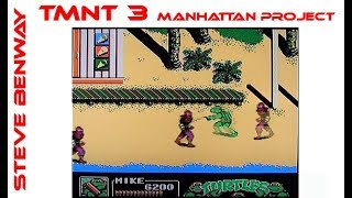 Teenage Mutant Ninja Turtles 3: The Manhattan Project on the NES