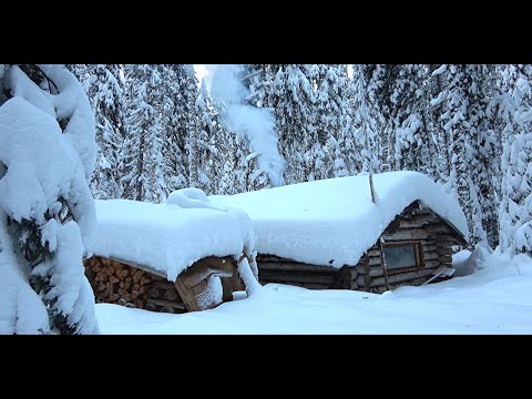 I live in a taiga hut. I get some meat and set traps.