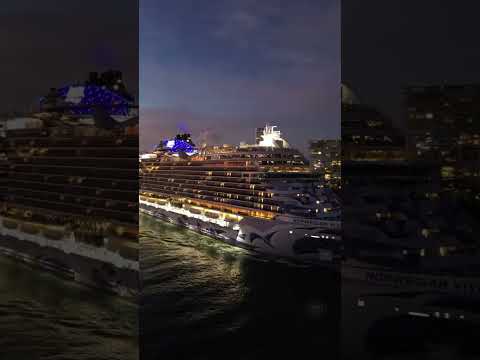 What A Year For Vessel Vibes! Thank you! #cruiseship