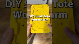 Worm Farming For Beginners | DIY Small Tote System  #vermicomposting #vermicompost