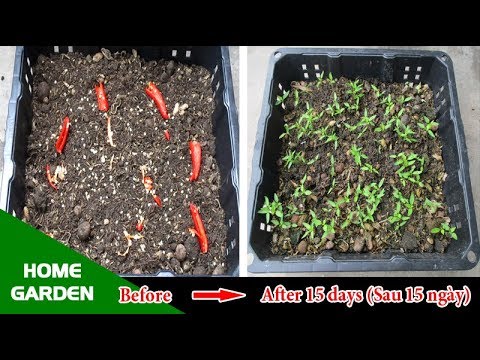 download lagu mp3 mp4 Trong Ot, download mp3 Trong Ot free download mp3, download mp3 Trong Ot