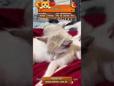 Vídeo de ISABEL