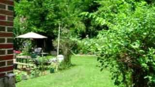 My Nasty Neighbors in Birmingham Crestwood AL.