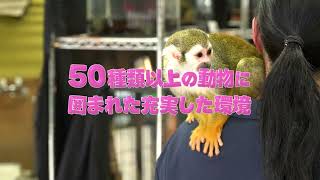 東京ECO　WEBCM　Ver1
