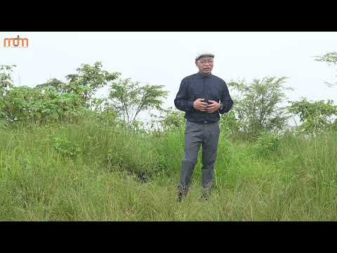 LAWMKIMA COLNEY - KA HLAN E (OFFICIAL)